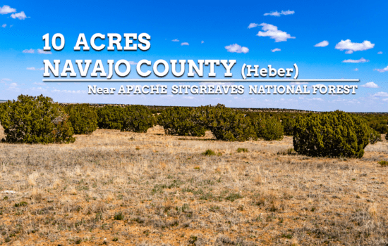 Rare Find near Apache-Sitgreaves National Forest!