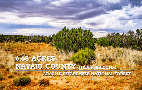 Prime Acreage Apache-Sitgreaves Forest!